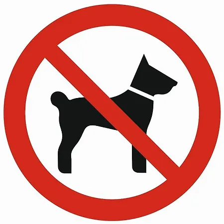 아파트 Owczarnia *